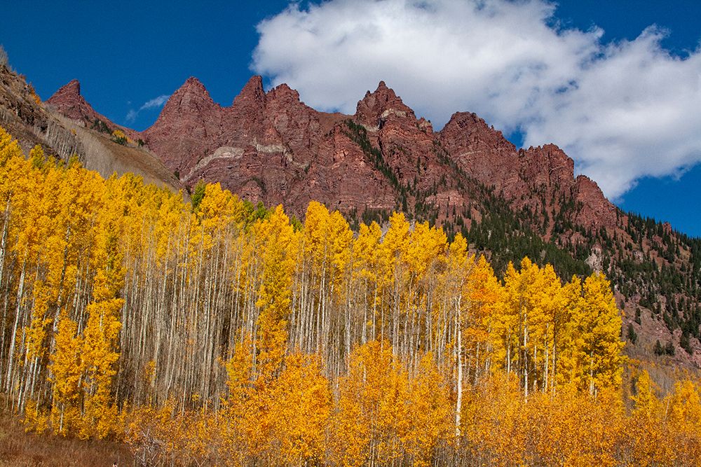 Maroon Bells-Snowmass Wilderness of Colorado-red rock cliffs